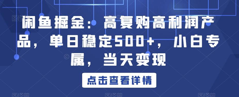 闲鱼掘金：高复购高利润产品，单日稳定500+，小白专属，当天变现-heixxmi