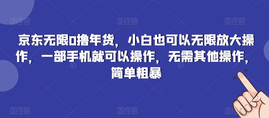 京东无限0撸年货，小白也可以无限放大操作，一部手机就可以操作，无需其他操作，简单粗暴-heixxmi