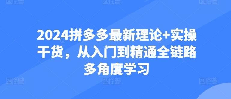 2024拼多多最新理论+实操干货，从入门到精通全链路多角度学习-heixxmi