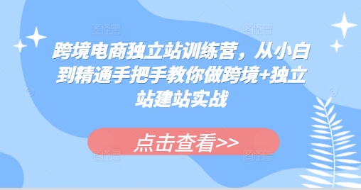 跨境电商独立站训练营，从小白到精通手把手教你做跨境+独立站建站实战-heixxmi