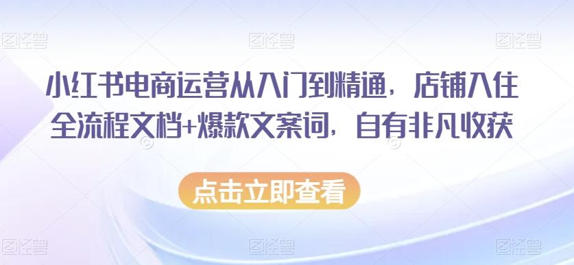 小红书电商运营从入门到精通，店铺入住全流程文档+爆款文案词，自有非凡收获-heixxmi