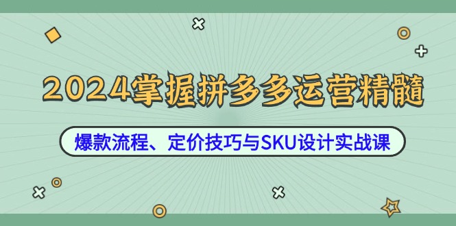 2024掌握拼多多运营精髓：爆款流程、定价技巧与SKU设计实战课-heixxmi