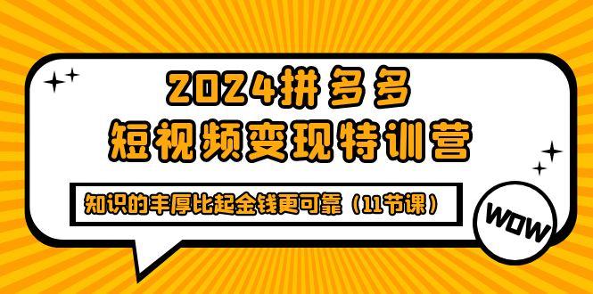(9817期)2024拼多多短视频变现特训营，知识的丰厚比起金钱更可靠(11节课)-heixxmi