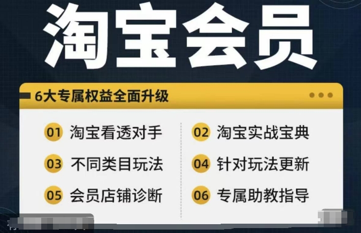 淘宝会员【淘宝所有课程，全面分析对手】，初级到高手全系实战宝典-heixxmi