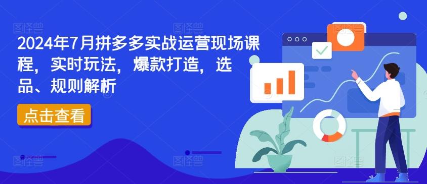 2024年7月拼多多实战运营现场课程，实时玩法，爆款打造，选品、规则解析-heixxmi