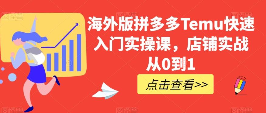 海外版拼多多Temu快速入门实操课，店铺实战从0到1-heixxmi