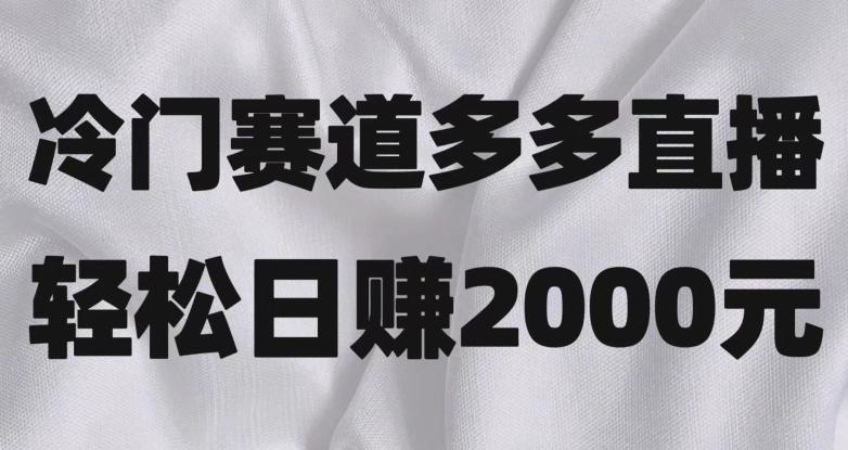 冷门赛道拼多多直播，简单念稿子，日收益2000＋【揭秘】-heixxmi