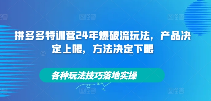 拼多多特训营24年爆破流玩法，产品决定上限，方法决定下限，各种玩法技巧落地实操-heixxmi