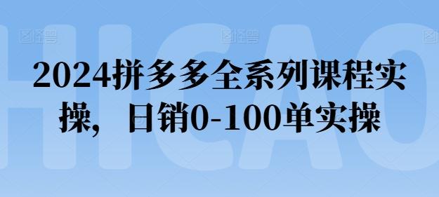 2024拼多多全系列课程实操，日销0-100单实操【必看】-heixxmi
