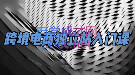 团长·跨境电商独立站入门课(2小时精华)-heixxmi