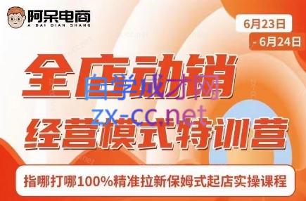 阿呆电商·全店动销经营模式特训营(线下录音+思维导图)-heixxmi