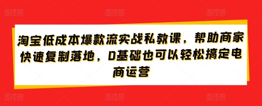 淘宝低成本爆款流实战私教课，帮助商家快速复制落地，0基础也可以轻松搞定电商运营-heixxmi