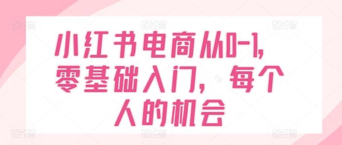 小红书电商从0-1，零基础入门，每个人的机会-heixxmi