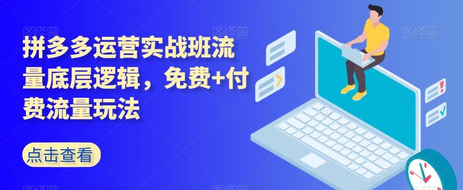 拼多多运营实战班流量底层逻辑，免费+付费流量玩法-heixxmi