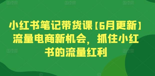 小红书笔记带货课【6月更新】流量电商新机会，抓住小红书的流量红利-heixxmi