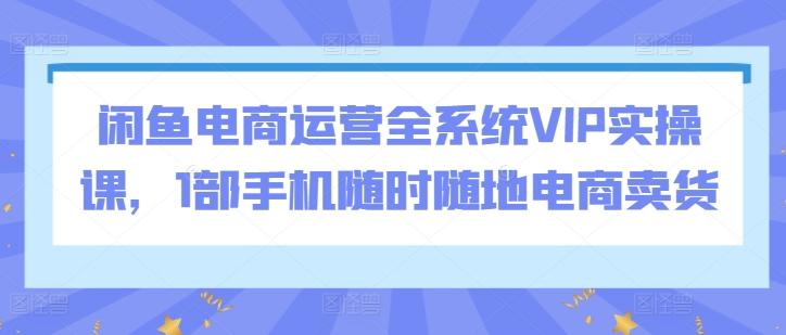 闲鱼电商运营全系统VIP实操课，1部手机随时随地电商卖货-heixxmi