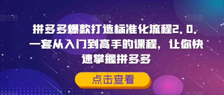 拼多多爆款打造标准化流程2.0，一套从入门到高手的课程，让你快速掌握拼多多-heixxmi