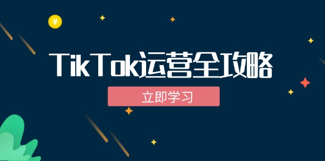 TikTok实战运营全攻略：从下载软件到变现，抖音海外版实操教程-heixxmi
