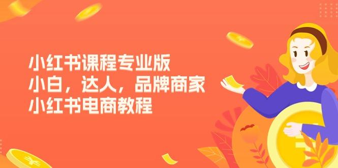 小红书课程专业版，小白，达人，品牌商家，小红书电商教程(15节-heixxmi