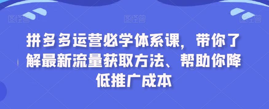 拼多多运营必学体系课，带你了解最新流量获取方法、帮助你降低推广成本-heixxmi