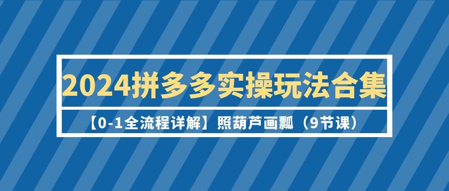 (9559期)2024拼多多实操玩法合集【0-1全流程详解】照葫芦画瓢(9节课)-heixxmi