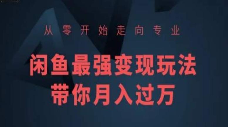 从零开始走向专业，闲鱼最强变现玩法带你月入过万-heixxmi