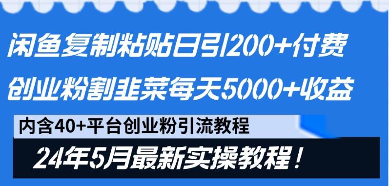 闲鱼复制粘贴日引200+付费创业粉，24年5月最新方法！割韭菜日稳定5000+收益-heixxmi