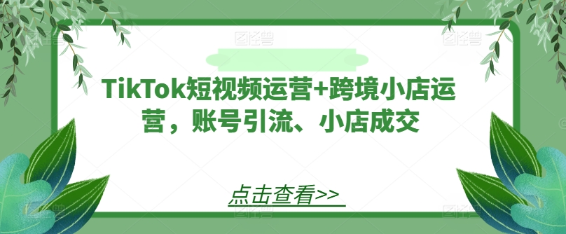 TikTok短视频运营+跨境小店运营，账号引流、小店成交-heixxmi