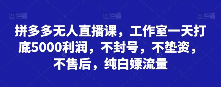 拼多多无人直播课，工作室一天打底5000利润，不封号，不垫资，不售后，纯白嫖流量-heixxmi