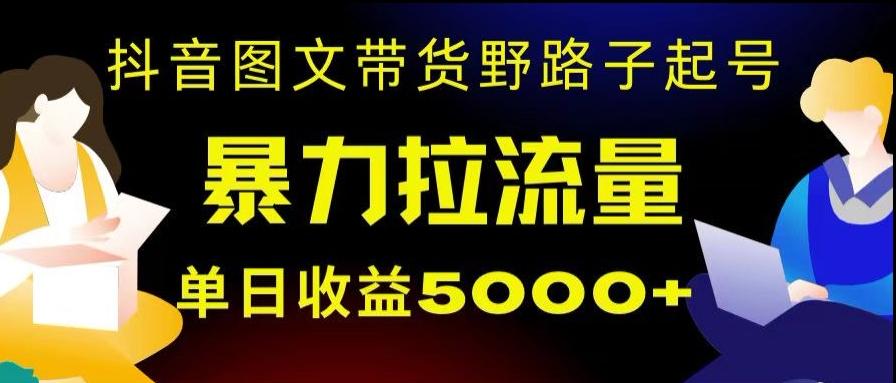 抖音图文带货暴力起号，单日收益5000+，野路子玩法，简单易上手，一部手机即可【揭秘】-heixxmi