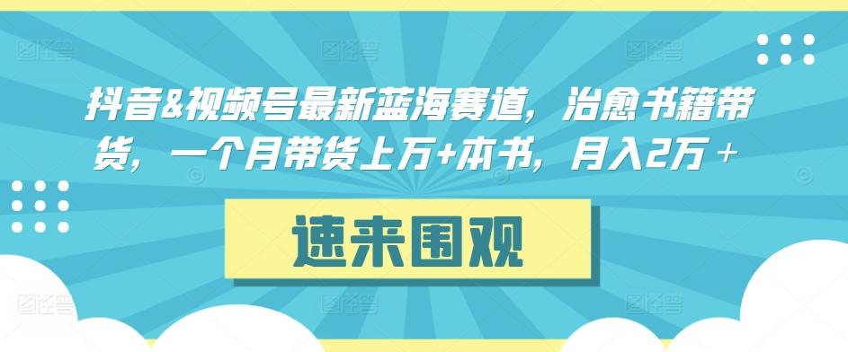 抖音&视频号最新蓝海赛道，治愈书籍带货，一个月带货上万+本书，月入2万＋【揭秘】-heixxmi