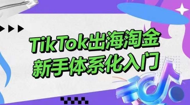 TikTok出海淘金，新手体系化入门，零基础快速入门，掌握短视频、直播带货等引流到变现的知识-heixxmi