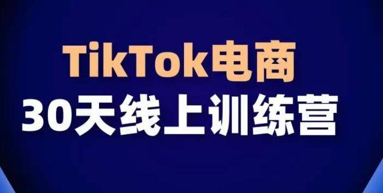 TikTok电商带货30天线上课，不可错过的全球流量洼地！-heixxmi