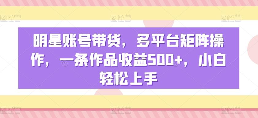 明星账号带货，多平台矩阵操作，一条作品收益500+，小白轻松上手【揭秘】-heixxmi