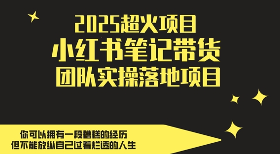 2025超火项目，副业最佳选择，小红书笔记带货团队实操落地项目，，轻松日入5张-heixxmi