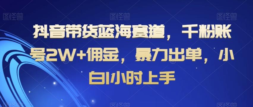 抖音带货蓝海赛道，千粉账号2W+佣金，暴力出单，小白1小时上手【揭秘】-heixxmi