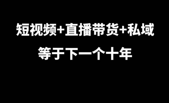 短视频+直播带货+私域等于下一个十年，大佬7年实战经验总结-heixxmi