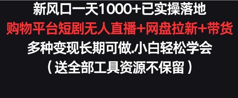 新风口一天1000+已实操落地购物平台短剧无人直播+网盘拉新+带货多种变现长期可做【揭秘】-heixxmi