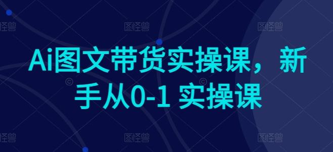 Ai图文带货实操课，新手从0-1 实操课-heixxmi