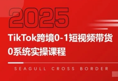 大亿老师·TikTok跨境0-1短视频带货-heixxmi