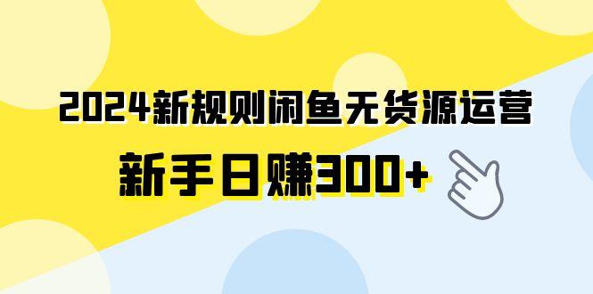 (9522期)2024新规则闲鱼无货源运营新手日赚300+-heixxmi
