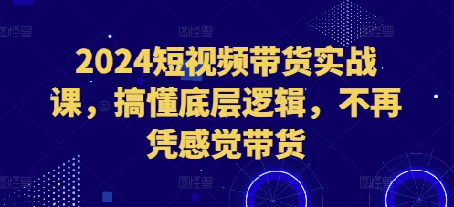 2024短视频带货实战课，搞懂底层逻辑，不再凭感觉带货-heixxmi
