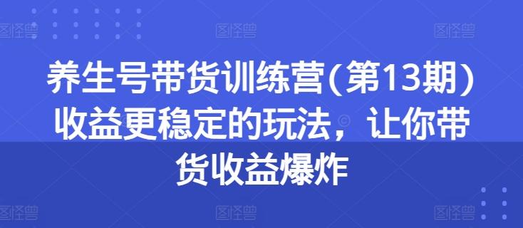 养生号带货训练营(第13期)收益更稳定的玩法，让你带货收益爆炸-heixxmi