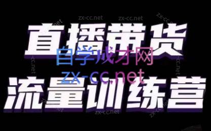 婉婉·直播带货课程系列合集(更新8月)-heixxmi