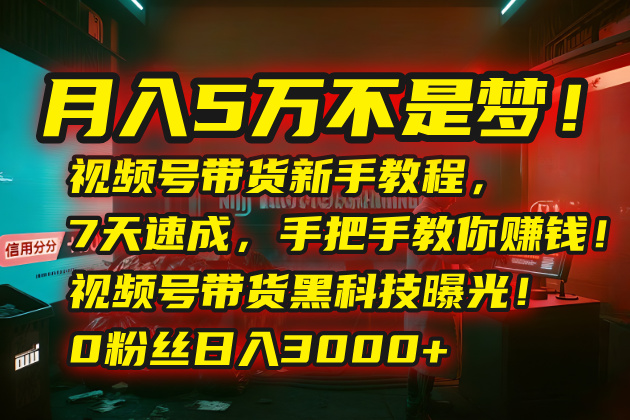 月入5万不是梦！视频号带货新手教程，7天速成，手把手教你赚钱！视频号...-heixxmi