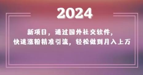 2024新项目，通过国外社交软件，快速涨粉精准引流，轻松做到月入上万【揭秘】-heixxmi