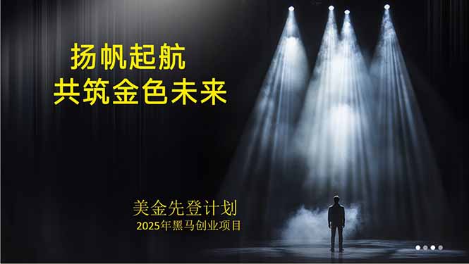 美金对冲创业项目，日收益1000-3000，小众暴力项目稳定运行8年-heixxmi