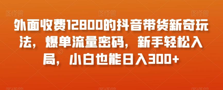 外面收费12800的抖音带货新奇玩法，爆单流量密码，新手轻松入局，小白也能日入300+【揭秘】-heixxmi