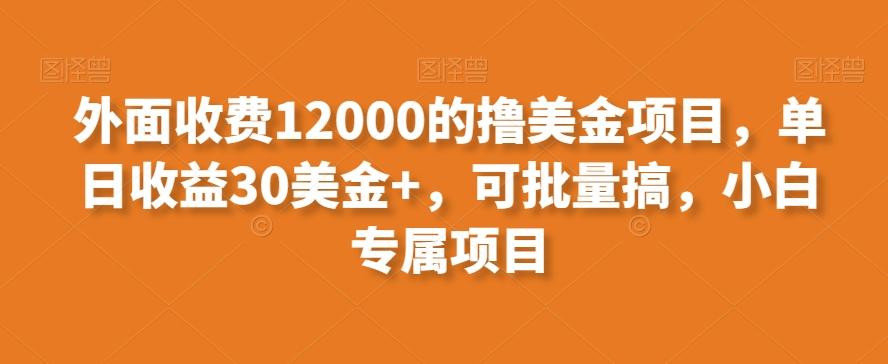 外面收费12000的撸美金项目，单日收益30美金+，可批量搞，小白专属项目-heixxmi