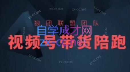 狼团联盟·2024视频号带货-heixxmi